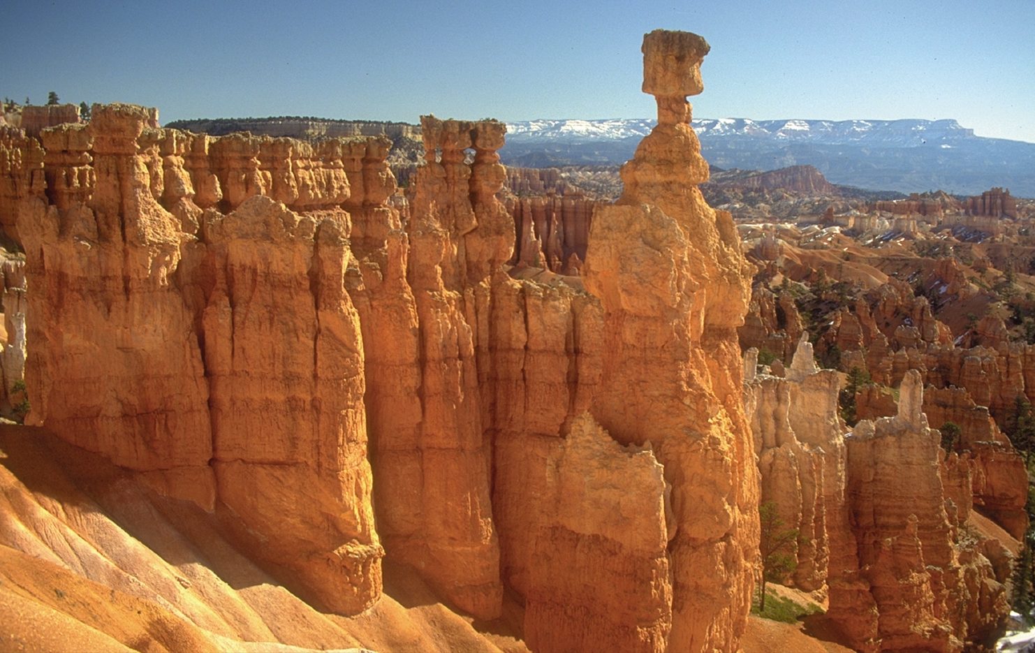 Bilferie fra Las Vegas til nasjonalparkene, Nordmannsreiser, amerikaspesialisten, amerika, reiser, usa