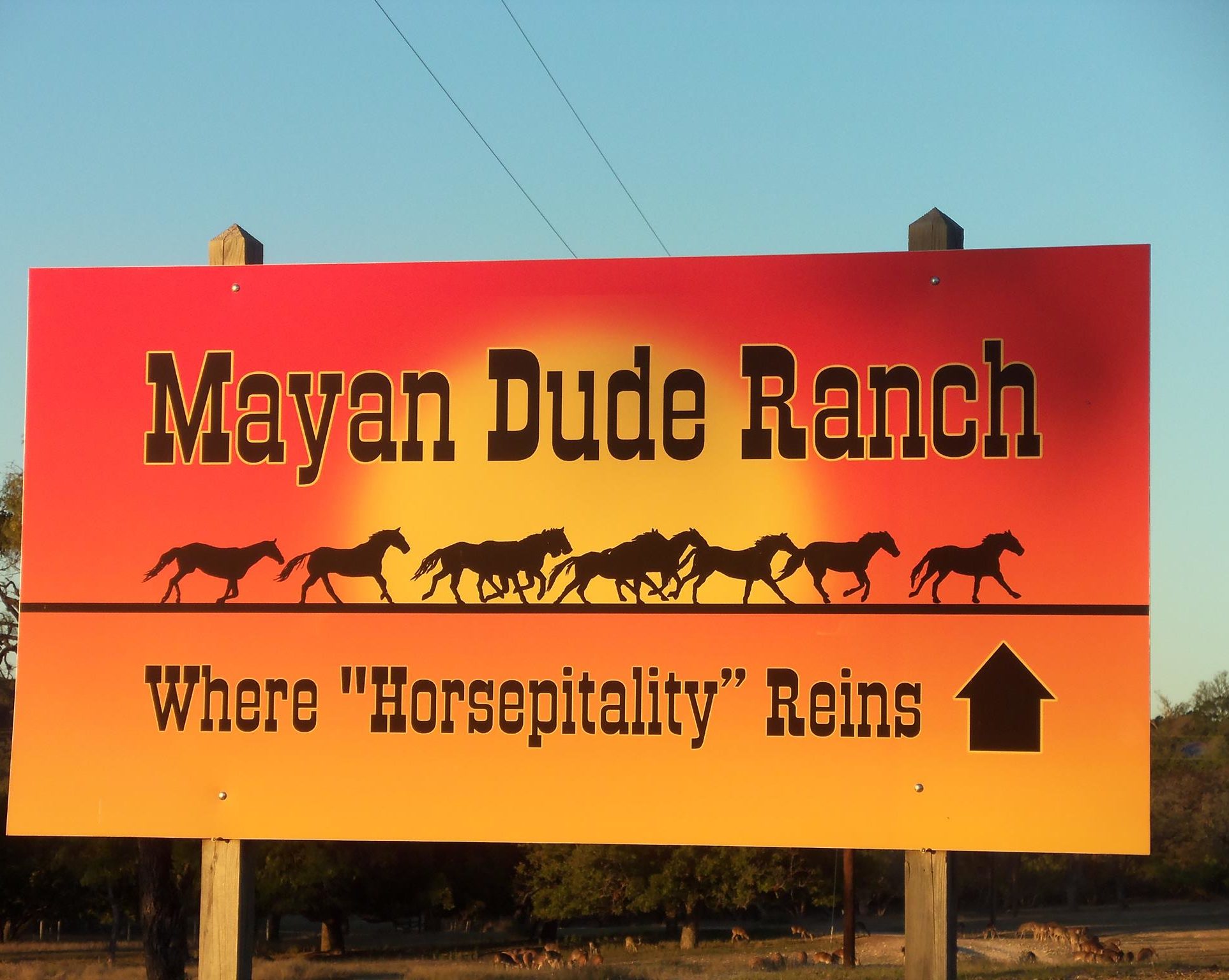 Mayan Dude Ranch, Nordmannsreiser, amerikaspesialisten, amerika, reiser, usa
