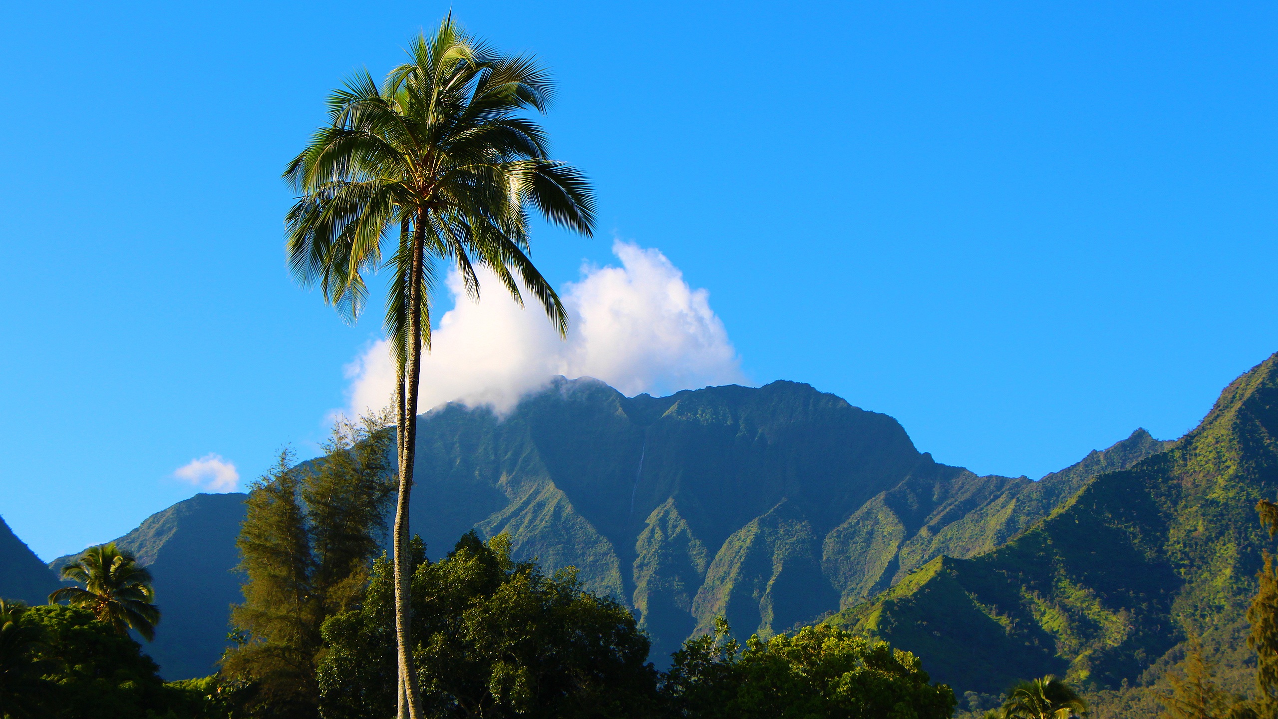 Rundreise til tre øyer på Hawaii, Nordmannsreiser, amerikaspesialisten, amerika, reiser, usa