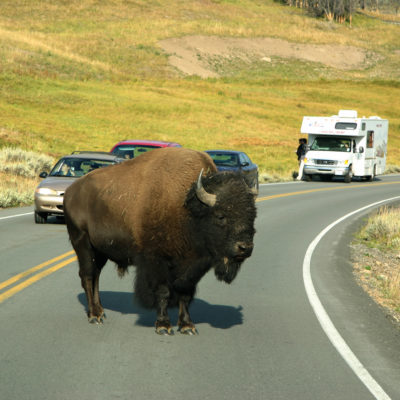 Bilferie i Midtvesten og Yellowstone, Nordmannsreiser, amerikaspesialisten, amerika, reiser, usa