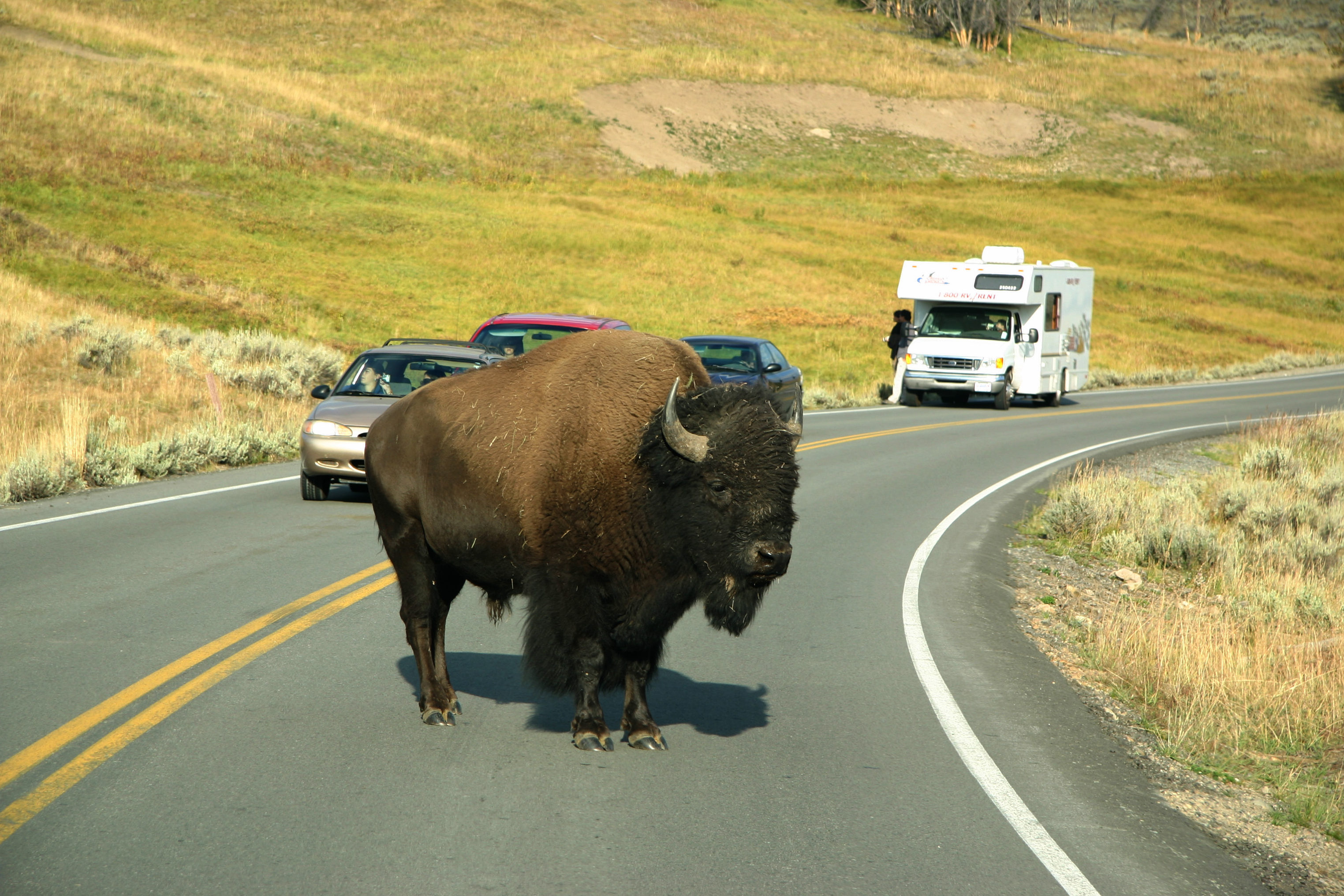 Bilferie i Midtvesten og Yellowstone, Nordmannsreiser, amerikaspesialisten, amerika, reiser, usa