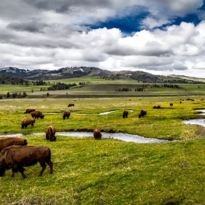 Togferie fra Denver gjennom nasjonalparker, Nordmannsreiser, amerikaspesialisten, amerika, reiser, usa