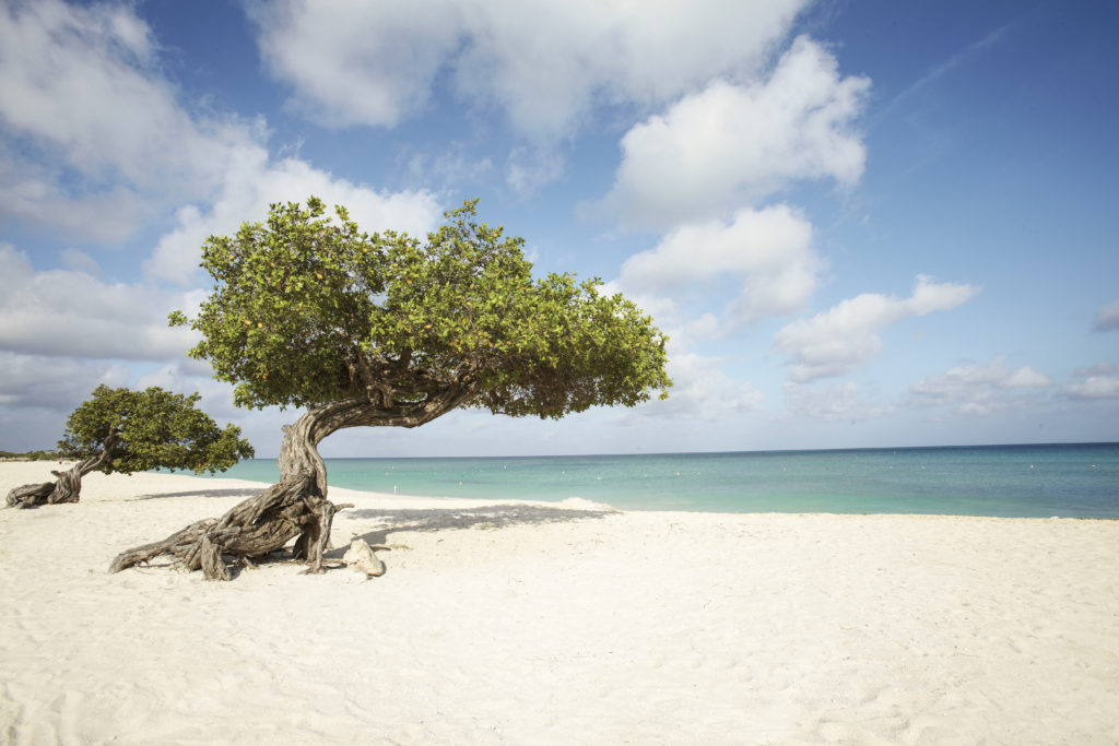 Sol og badeferie på Aruba Nordmannsreiser, amerikaspesialisten, amerika, reiser, usa