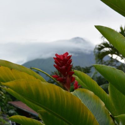 Rundreise i Costa Rica, Nordmannsreiser, amerikaspesialisten, amerika, reiser, usa