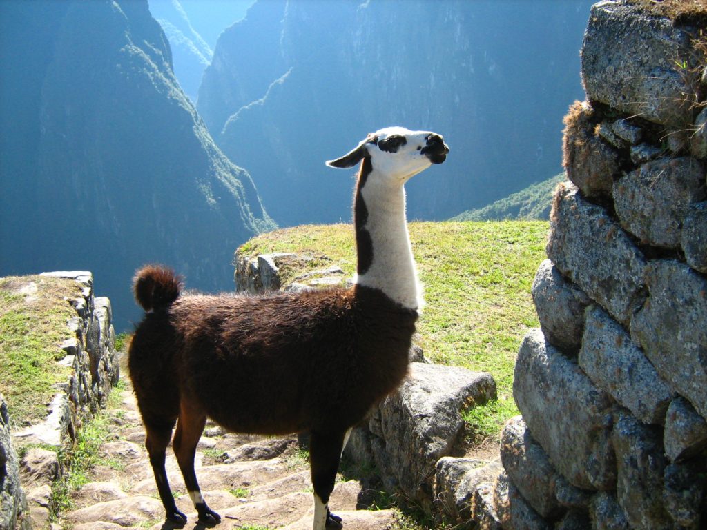 Nordmannsreiser, amerikaspesialisten, amerika, reiser, usaKlassisk luksusreise i Peru