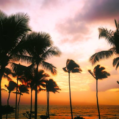 rundreise til fire øyer på Hawaii