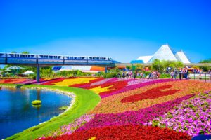 Reise til Orlando, Nordmannsreiser, amerikaspesialisten, amerika, reiser, usa, Familieferie til Orlando og Miami