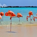 Hotelltips på Aruba, Nordmannsreiser, amerikaspesialisten, amerika, reiser, usa,