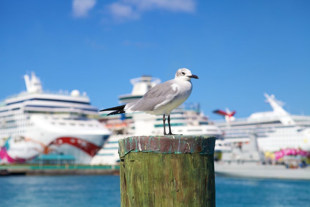 USa spesialisten Amerikaspesialisten, nordmannsreiser, cruisereiser, Litt om Bahamas