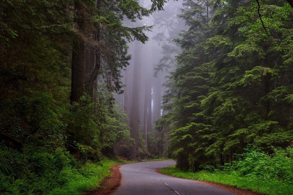 måter å oppleve Highway 1, Nordmannsreiser, amerikaspesialisten, amerika, reiser, usa,