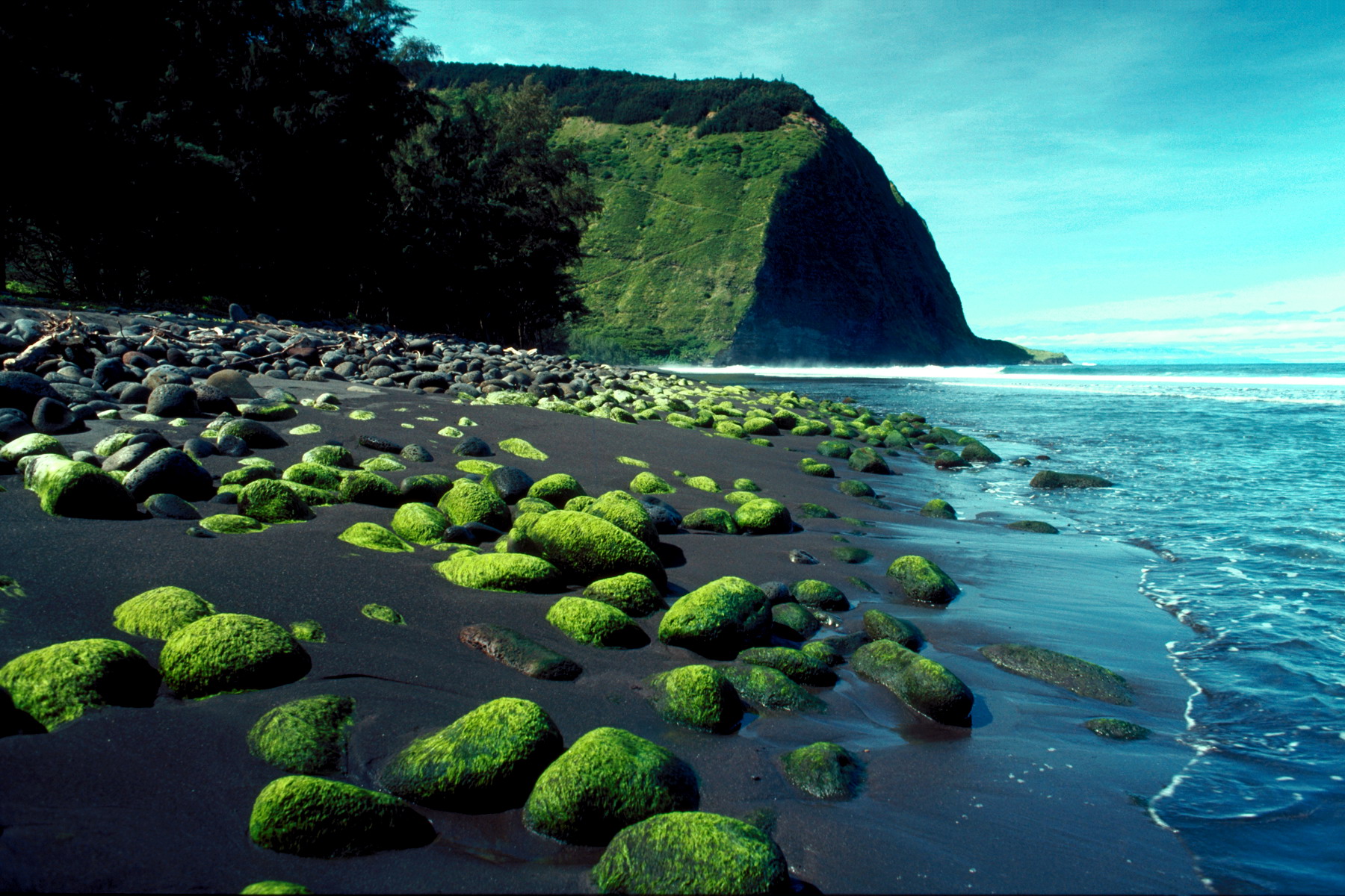 Nordmannsreiser, amerikaspesialisten, amerika, reiser, usa