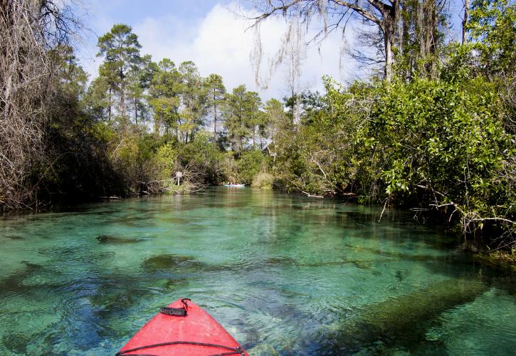 opplevelse rett ved Orlando, Nordmannsreiser, amerikaspesialisten, amerika, reiser, usa