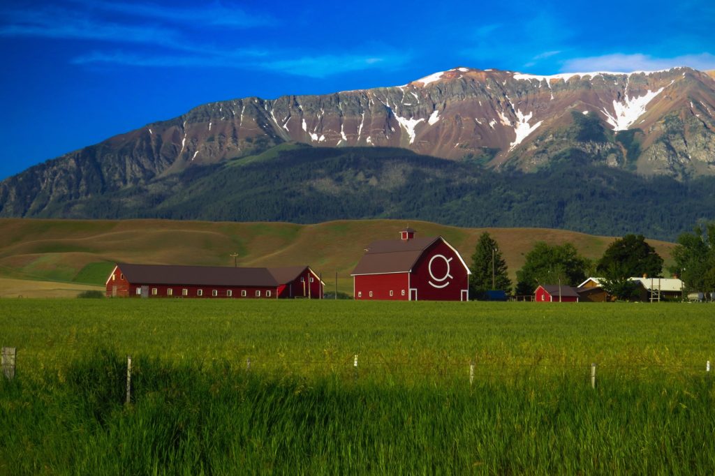 Nordmannsreiser, amerikaspesialisten, amerika, reiser, usa