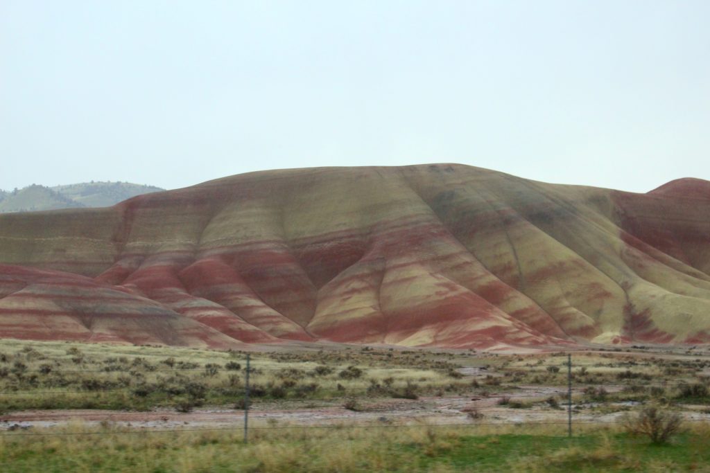 Nordmannsreiser, amerikaspesialisten, amerika, reiser, usa