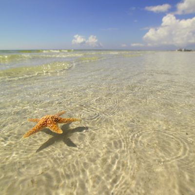 Ferie til Fort Myers Beach, Florida Nordmannsreiser, amerikaspesialisten, amerika, reiser, usa Chicago