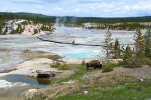 Bilferie fra Minneapolis til The Rockies og Yellowstone, Fottur i Rocky Mountains og Yellowstone, Bilferie fra Minneapolis til The Rockies og Yellowstone