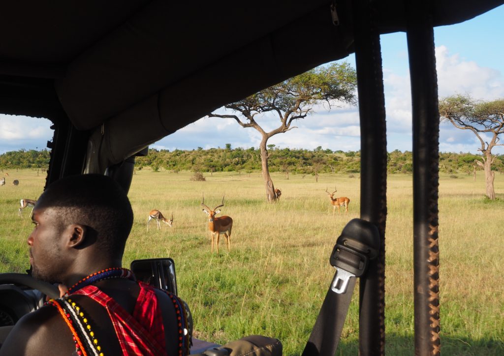 Amerikaspesialisten, nordmannsreiser, cruisereiser, Safari i Masai Mara med barna