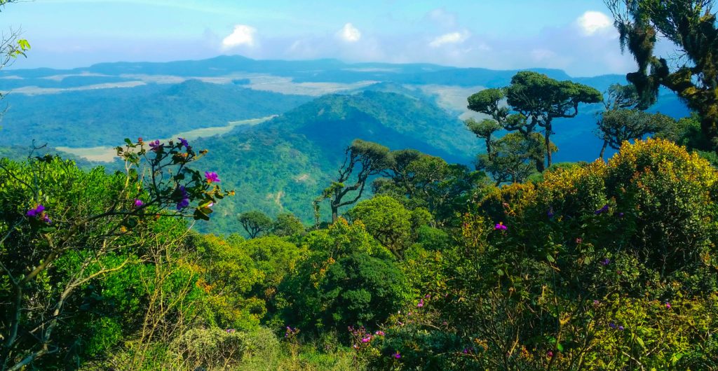 Amerikaspesialisten, nordmannsreiser, cruisereiser, reise til Sri Lanka