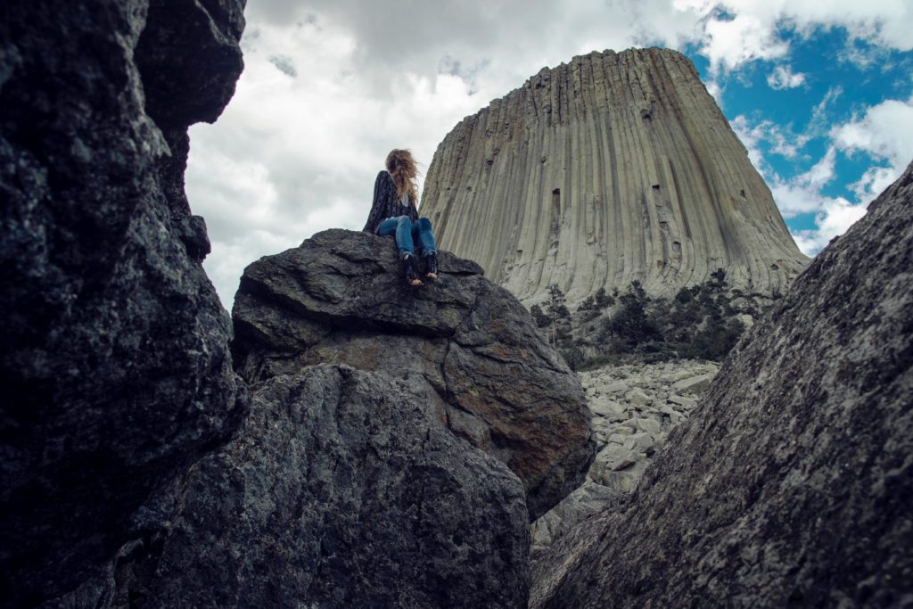 Amerikaspesialisten, nordmannsreiser, cruisereiser