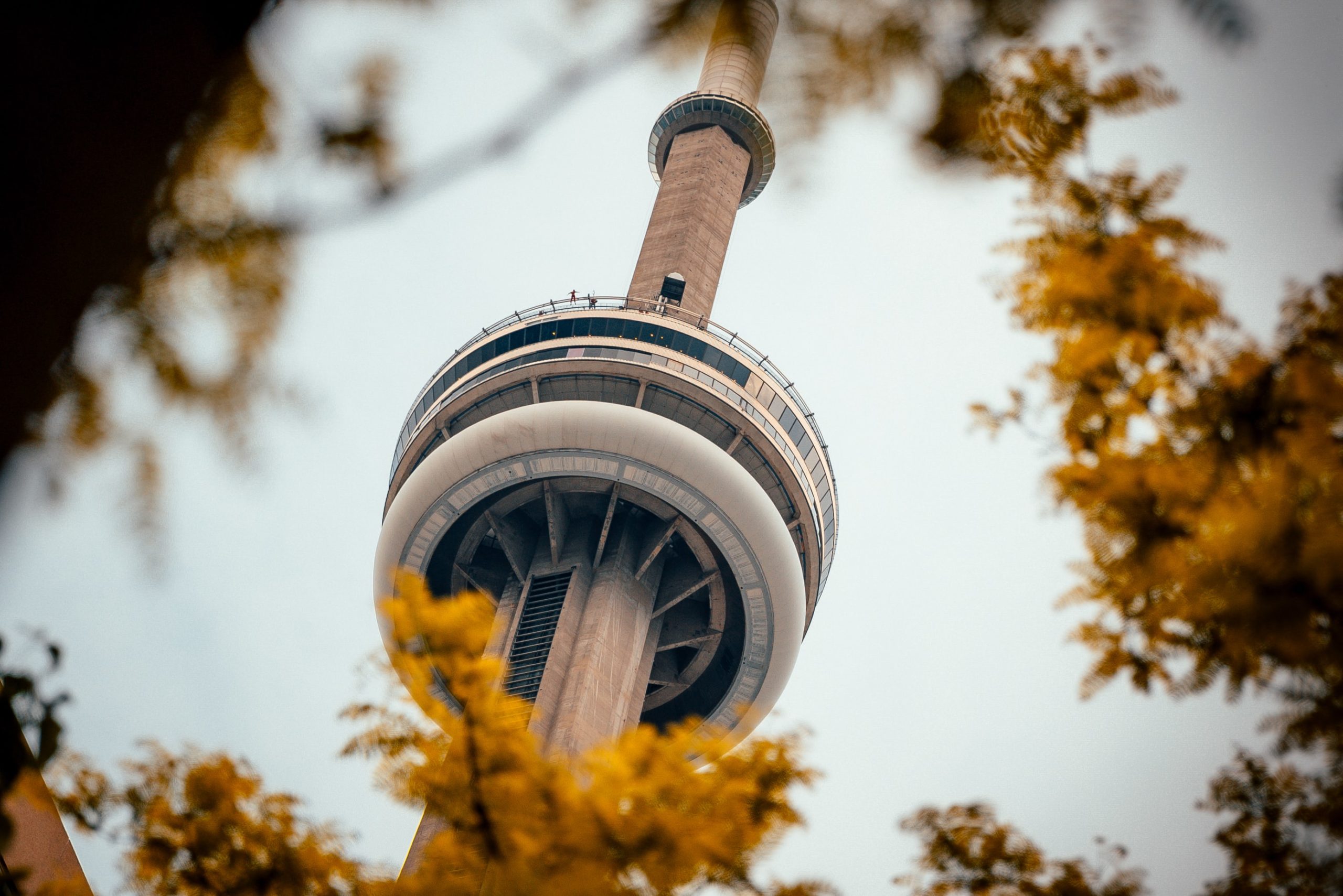 Reise til Toronto med stopp på Island Amerikaspesialisten, nordmannsreiser, cruisereiser