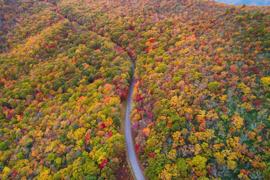 Bilferie fra Atlanta - Sørstatenes fjell og strender USa spesialisten Amerikaspesialisten, nordmannsreiser, cruisereiser