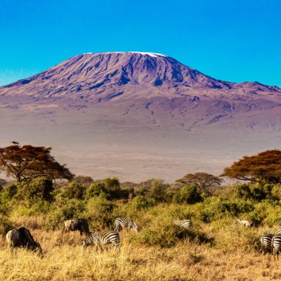 Reise til Kilimanjaro, Tarangire og Zanzibar USa spesialisten Amerikaspesialisten, nordmannsreiser, cruisereiser