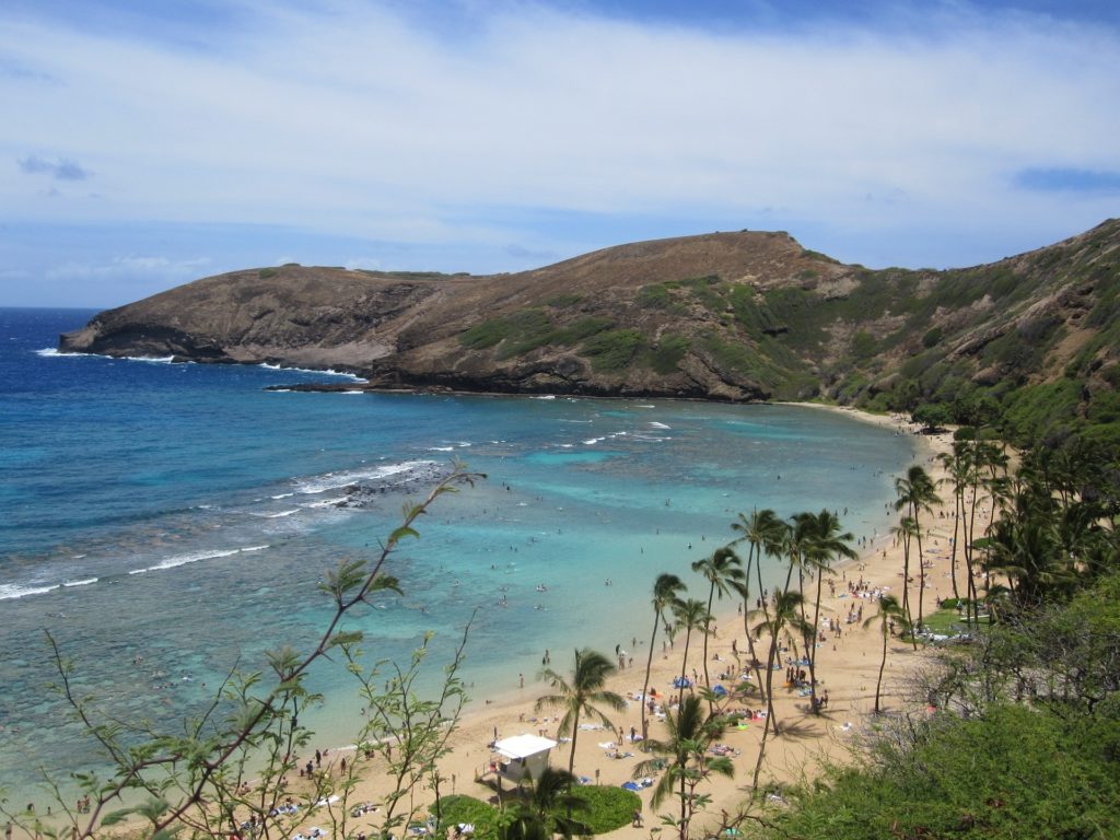 USa spesialisten Amerikaspesialisten, nordmannsreiser, cruisereiser gode grunner til å besøke Oahu