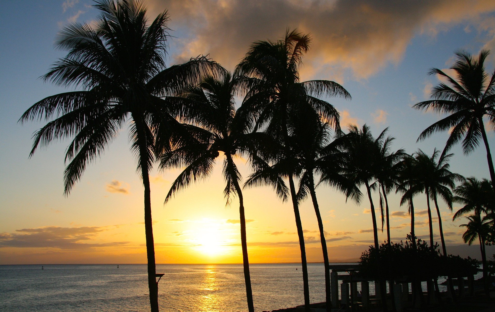 gode grunner til å besøke Oahu USa spesialisten Amerikaspesialisten, nordmannsreiser, cruisereiser