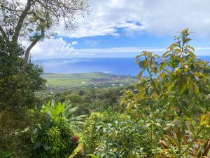 Hawaii med Frid, amerikaspesialisten, Nordmannsreiser