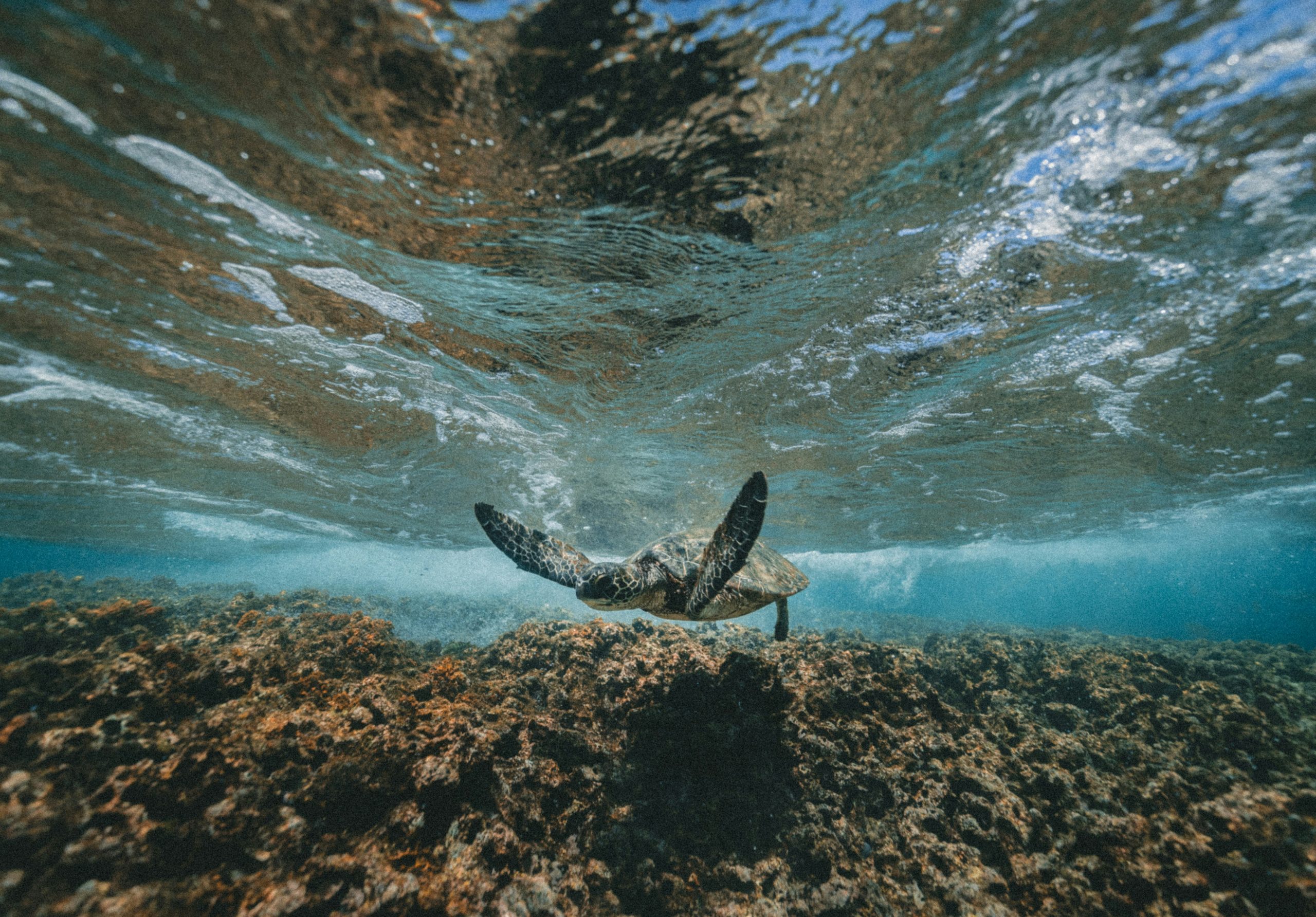 Kauai Hawaii