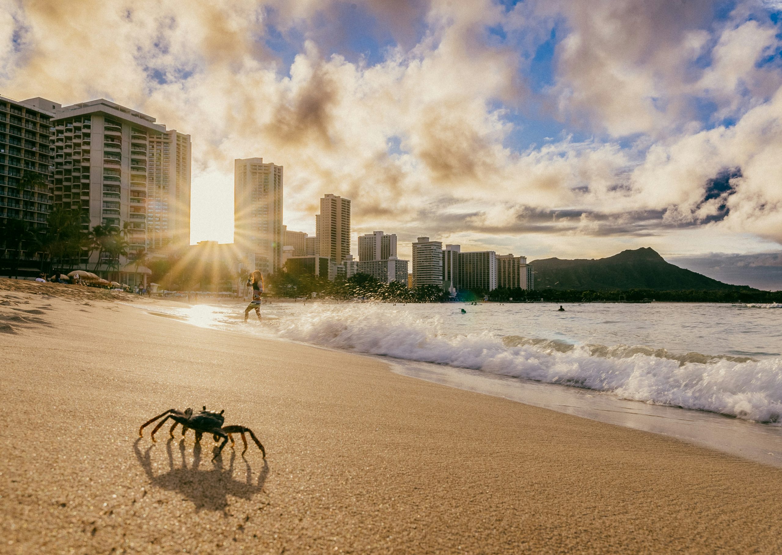 Kombinasjonsreise California og Hawaii I Amerikaspesialisten Hawaii Waikiki Beach Honolulu