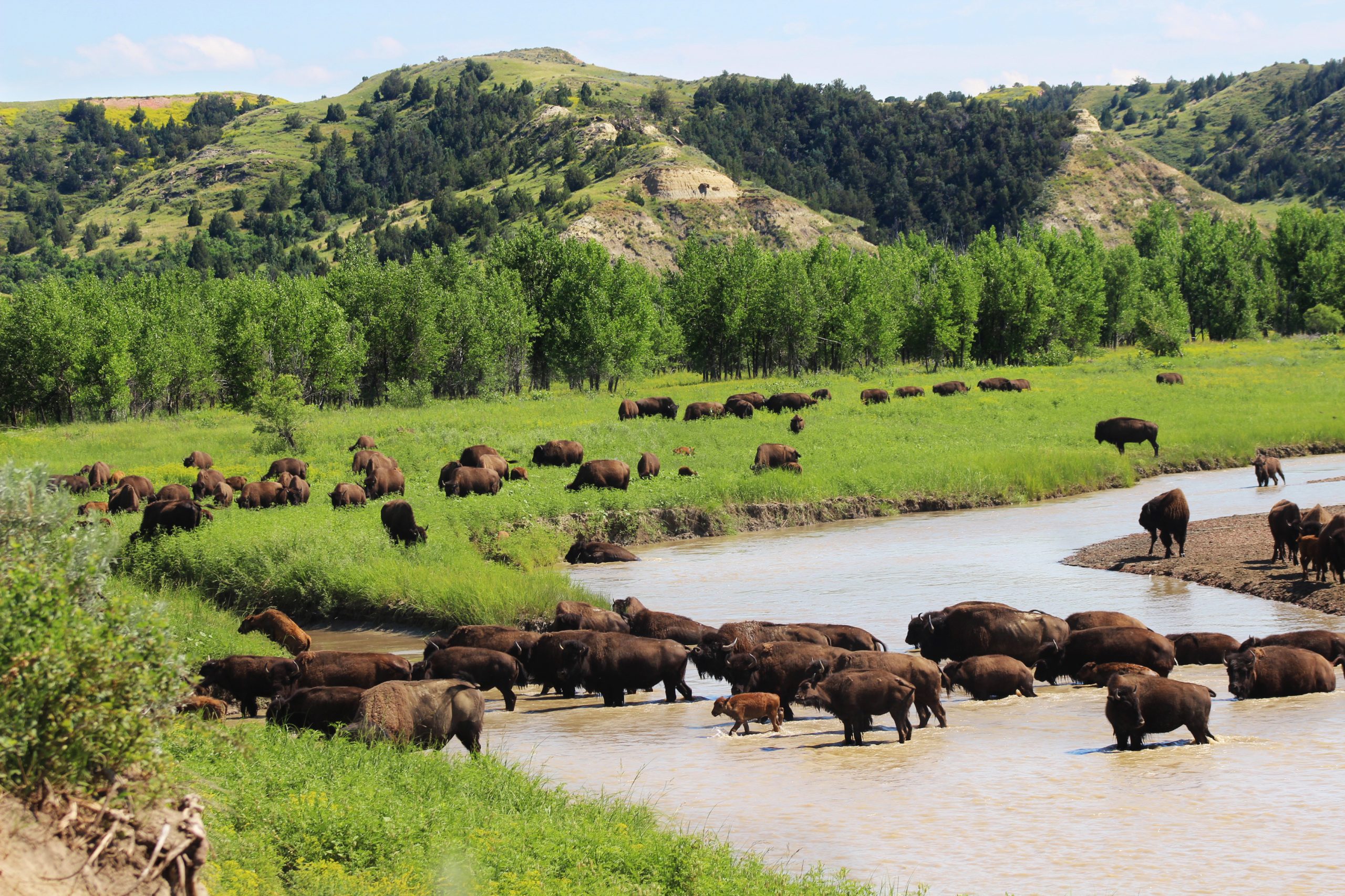 reise til North Dakota amerikaspesialisten